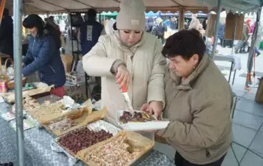 DSC08480