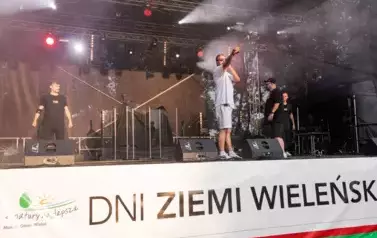 DZW (41)