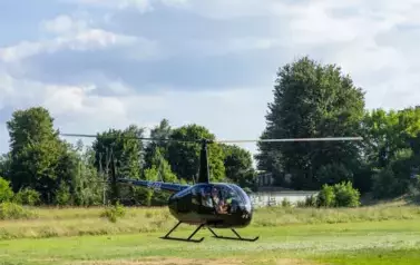 DZW (37)