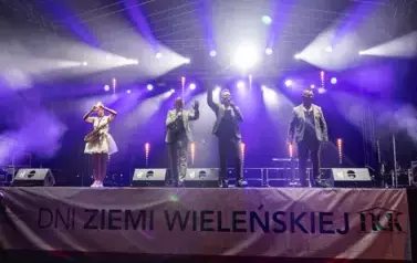 DZW (17)