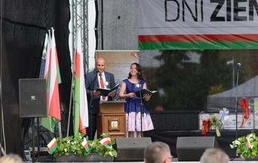 wln (82)-2 (Średnie)