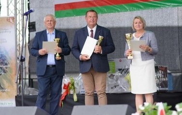 wln (274)-2 (Średnie)