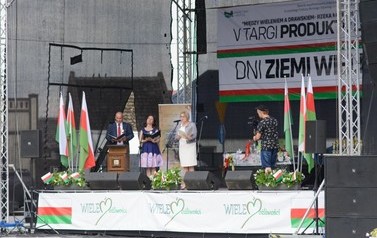 wln (84)-2 (Średnie)