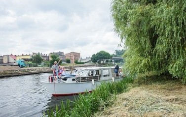 wln (536)-2 (Średnie)