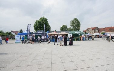 DSC_4952 (Średnie)
