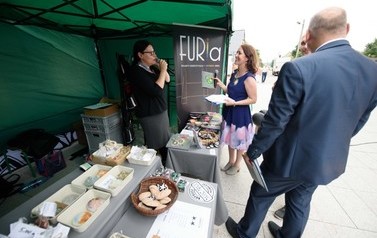 wln (390)-2 (Średnie)