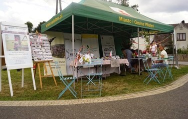 DSC09465 (Średnie)