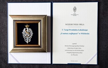wizerunekOrłaDlaTPL (5)