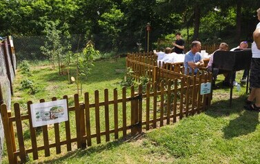 dzieńpatronaSPDzierżążnoWielkie (128)