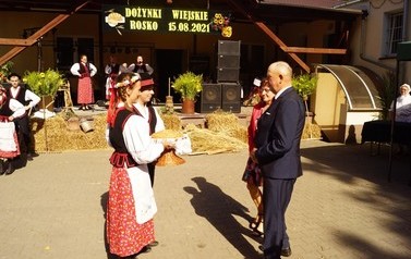 95 (Średnie)