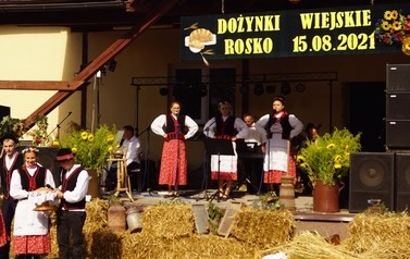 94 (Średnie)