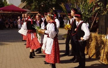 87 (Średnie)