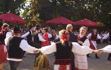 83 (Średnie)