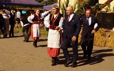 81 (Średnie)