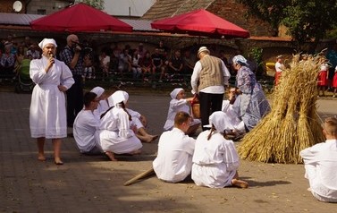 55 (Średnie)