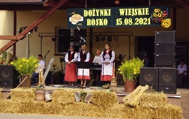 53 (Średnie)