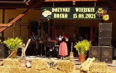 43 (Średnie)