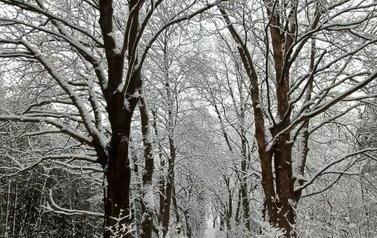 P. Sikora 20211205_145517