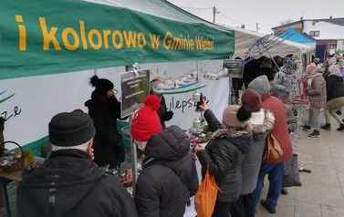 IMG-20211212-WA0007