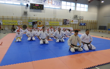 P1070750 (2)
