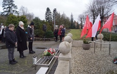 DSC08414_tn