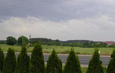 DSC03237