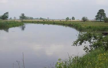 DSC03176