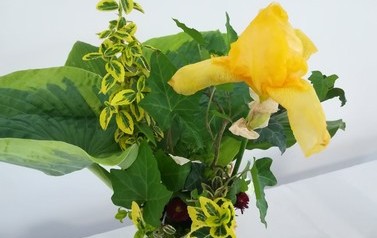 IMG_20220609_174232