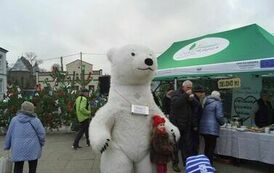 412088284_779678634173804_1852040190947024525_n