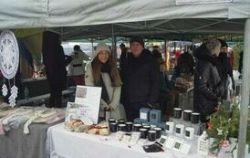 411565157_779675304174137_493064320537911215_n