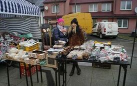 411521292_779675764174091_3486456585940786404_n