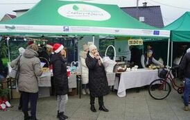 411483119_779676294174038_5068220469673847675_n