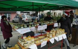 411473295_779677307507270_2126528756162792899_n