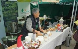 411459550_779676384174029_2973272349068344449_n