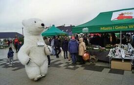 411449280_779677677507233_2331900829783266460_n