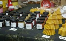 411448646_779676834173984_983090109975177146_n