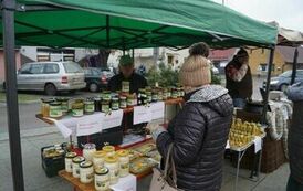 411442435_779675644174103_724506996861910799_n