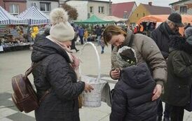 411436000_779678297507171_859724872082110805_n