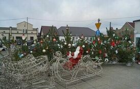 411434333_779676327507368_4999591938212544255_n