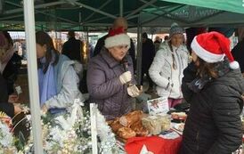 411433288_779677590840575_8712645664872837721_n