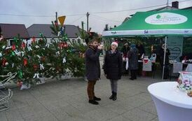 411427310_779676437507357_98299406702902571_n