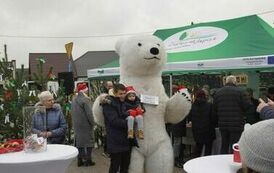 411425246_779678580840476_8858779103707806142_n