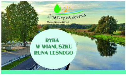 Zdjęcie do Ryba w wianuszku runa leśnego 