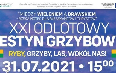 Zdjęcie do XXI Odlotowy Festyn Grzybowy Ryby, Grzyby, Las, wok&oacute;ł nas!