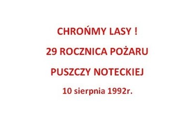 Zdjęcie do Chrońmy Lasy- 29 rocznica pożaru Puszczy Noteckiej, 10 sierpnia 1992r.