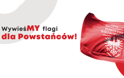 Zdjęcie do WywieśMY flagi dla Powstańc&oacute;w!