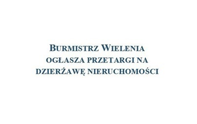 Zdjęcie do Ogłoszenia o przetargach na sprzedaż działek