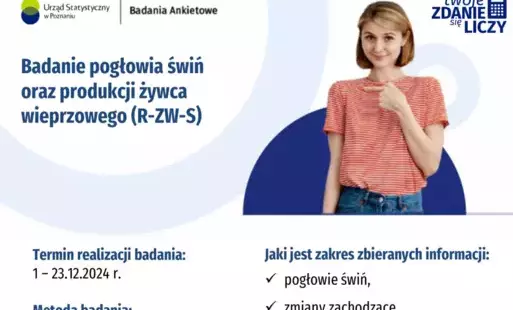 Zdjęcie do Badanie pogłowia świń oraz produkcji żywca wieprzowego (R-ZW-S)