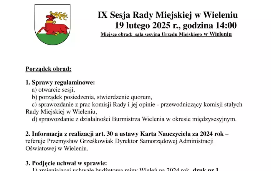 IX Sesja Rady Miejskiej w Wieleniu