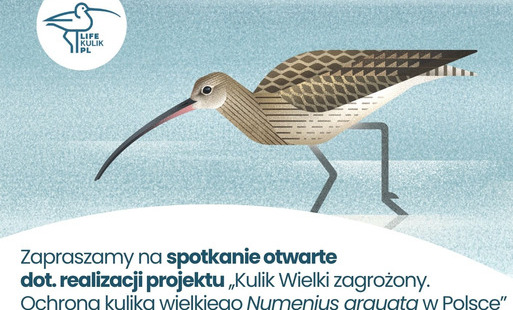 Zdjęcie artykułu z dnia 21-04-2026